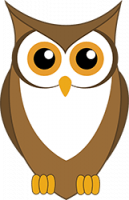 owl_new
